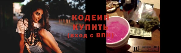 гашик Лабытнанги