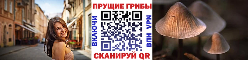 KRAKEN рабочий сайт  как найти закладки  Лагань  Галлюциногенные грибы Psilocybine cubensis 